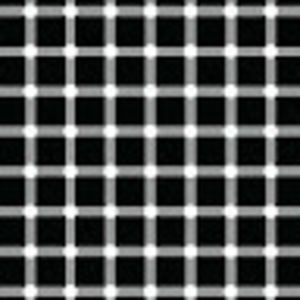 Meet your Posher, Martin